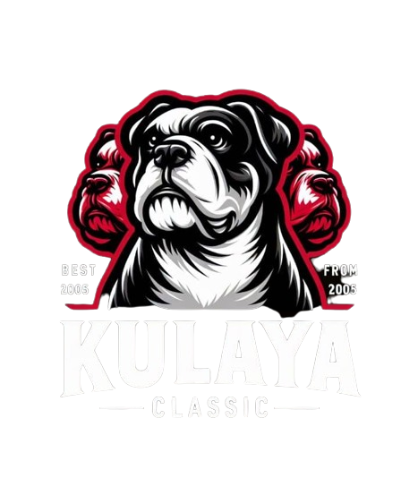 logo1